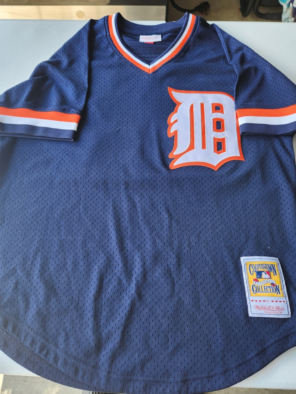 Mitchell & Ness Mens Navy Detroit D Baseball Mesh Jersey